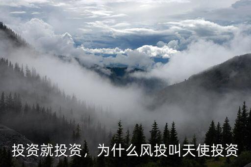 投資就投資，為什么風(fēng)投叫天使投資