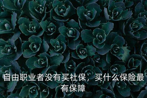 自由職業(yè)者沒有買社保，買什么保險(xiǎn)最有保障
