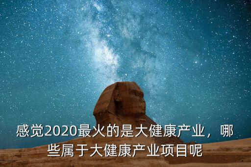 感覺2020最火的是大健康產(chǎn)業(yè)，哪些屬于大健康產(chǎn)業(yè)項目呢