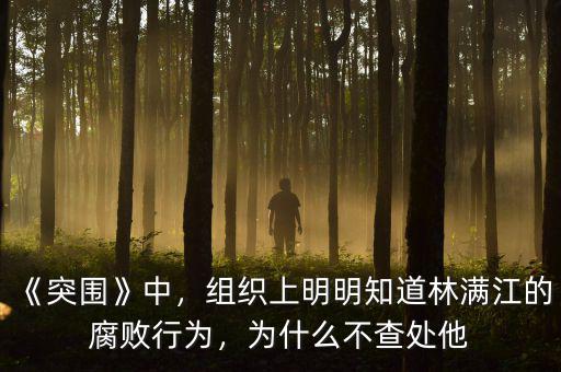《突圍》中，組織上明明知道林滿江的腐敗行為，為什么不查處他