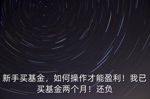 新手買基金，如何操作才能盈利！我已買基金兩個(gè)月！還負(fù)