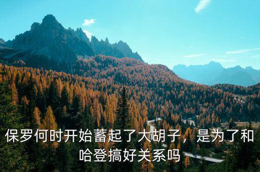 保羅何時(shí)開始蓄起了大胡子，是為了和哈登搞好關(guān)系嗎