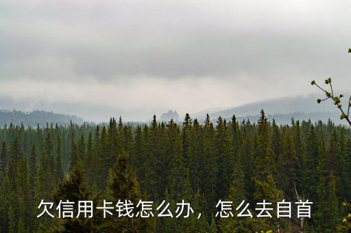 欠信用卡錢怎么辦，怎么去自首