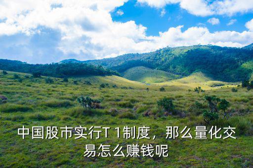 中國股市實行T 1制度，那么量化交易怎么賺錢呢