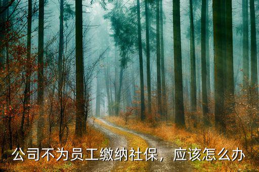 公司不為員工繳納社保，應(yīng)該怎么辦