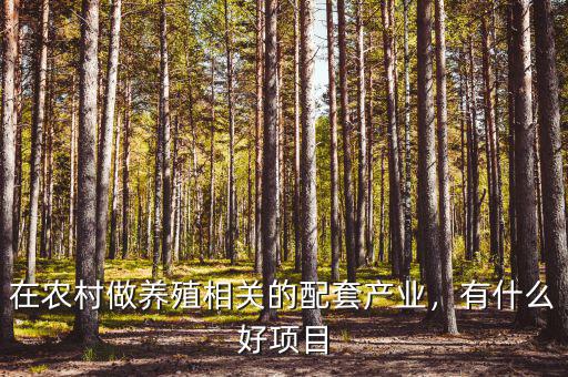 在農(nóng)村做養(yǎng)殖相關(guān)的配套產(chǎn)業(yè)，有什么好項(xiàng)目