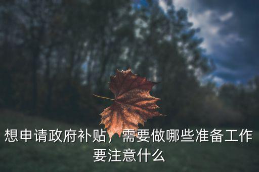 想申請政府補(bǔ)貼，需要做哪些準(zhǔn)備工作要注意什么