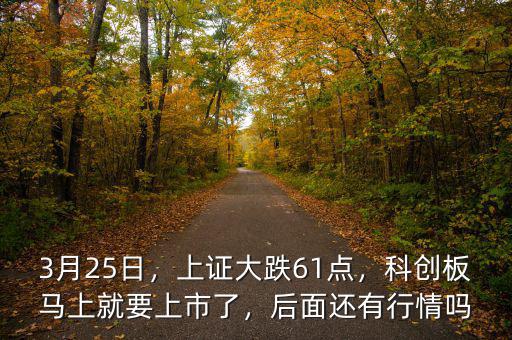 3月25日，上證大跌61點，科創(chuàng)板馬上就要上市了，后面還有行情嗎