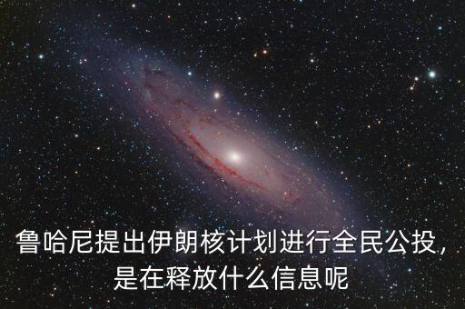 魯哈尼提出伊朗核計劃進行全民公投，是在釋放什么信息呢