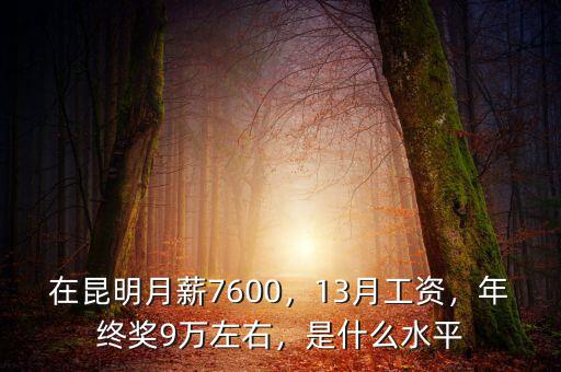 在昆明月薪7600，13月工資，年終獎(jiǎng)9萬(wàn)左右，是什么水平