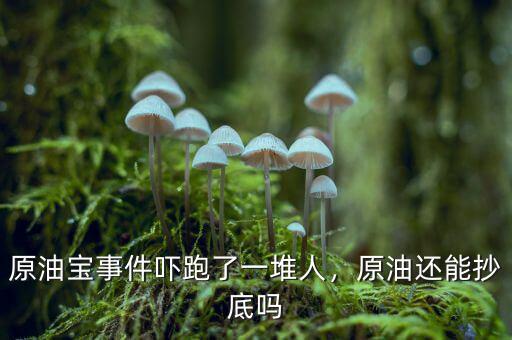 原油寶事件嚇跑了一堆人，原油還能抄底嗎