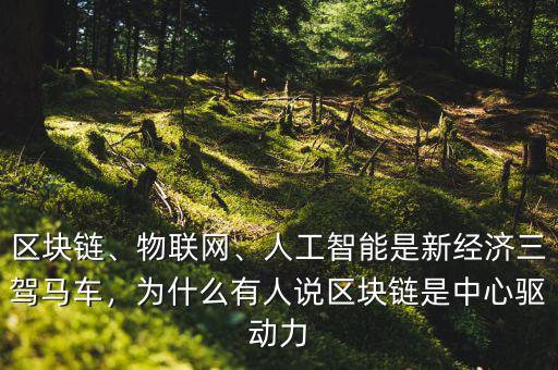 區(qū)塊鏈、物聯(lián)網(wǎng)、人工智能是新經(jīng)濟(jì)三駕馬車(chē)，為什么有人說(shuō)區(qū)塊鏈?zhǔn)侵行尿?qū)動(dòng)力