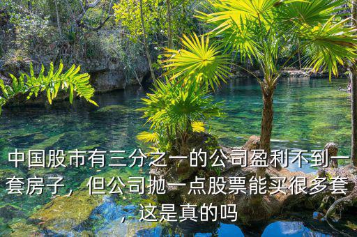 中國股市有三分之一的公司盈利不到一套房子，但公司拋一點股票能買很多套，這是真的嗎