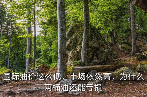 國際油價(jià)這么低，市場依然高，為什么兩桶油還能虧損
