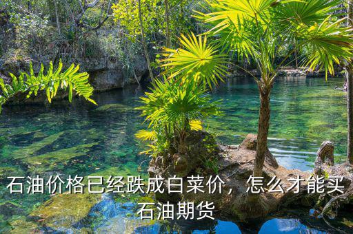 石油價格已經(jīng)跌成白菜價，怎么才能買石油期貨