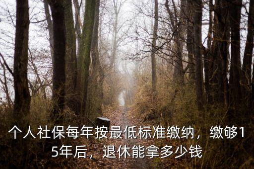 個人社保每年按最低標準繳納，繳夠15年后，退休能拿多少錢