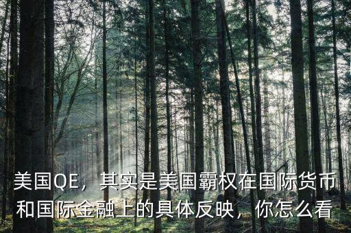 美國QE，其實是美國霸權(quán)在國際貨幣和國際金融上的具體反映，你怎么看