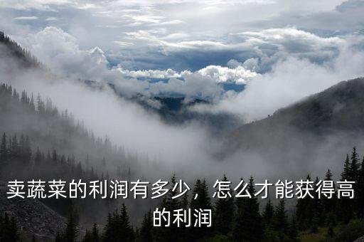 賣(mài)蔬菜的利潤(rùn)有多少，怎么才能獲得高的利潤(rùn)