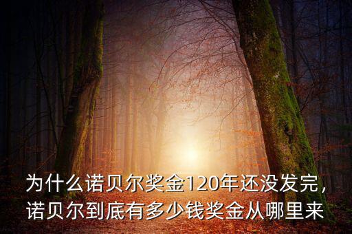 為什么諾貝爾獎(jiǎng)金120年還沒(méi)發(fā)完，諾貝爾到底有多少錢獎(jiǎng)金從哪里來(lái)