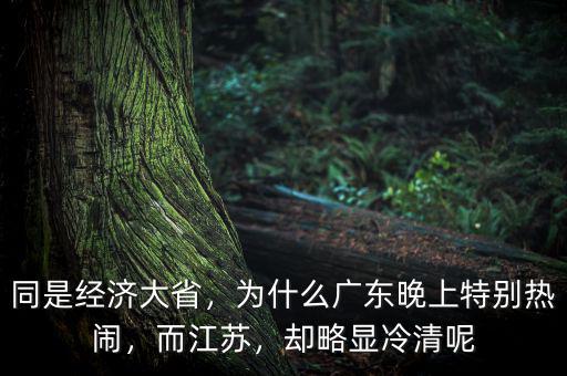 同是經(jīng)濟大省，為什么廣東晚上特別熱鬧，而江蘇，卻略顯冷清呢