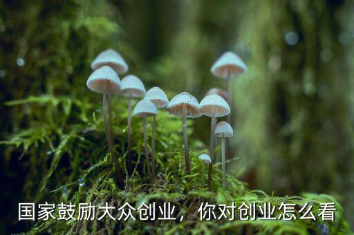 國家鼓勵(lì)大眾創(chuàng)業(yè)，你對(duì)創(chuàng)業(yè)怎么看