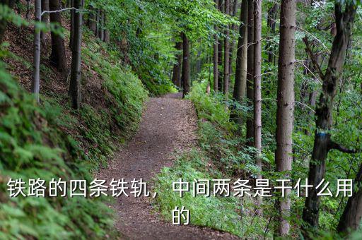 鐵路的四條鐵軌，中間兩條是干什么用的