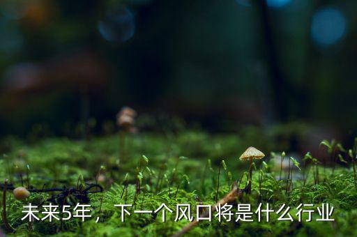 未來5年，下一個風(fēng)口將是什么行業(yè)