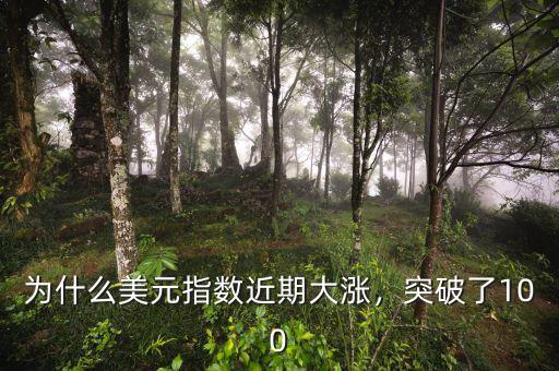 為什么美元指數(shù)近期大漲，突破了100