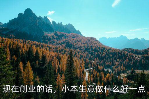 現(xiàn)在創(chuàng)業(yè)的話，小本生意做什么好一點