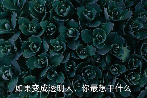 如果變成透明人，你最想干什么
