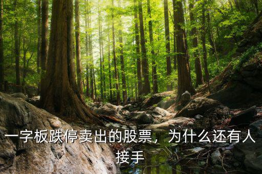 一字板跌停賣出的股票，為什么還有人接手