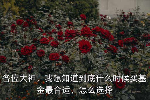 各位大神，我想知道到底什么時(shí)候買基金最合適，怎么選擇
