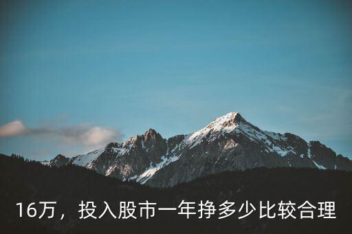 16萬，投入股市一年掙多少比較合理