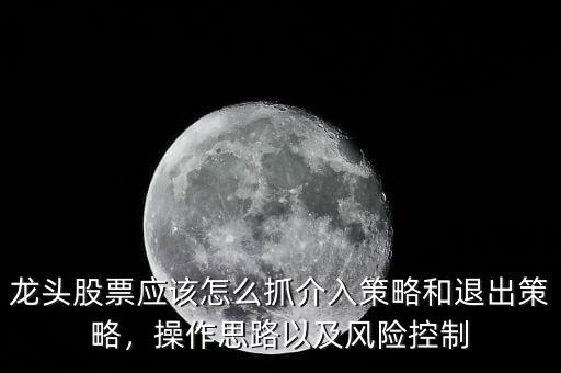 龍頭股票應該怎么抓介入策略和退出策略，操作思路以及風險控制