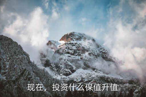 現(xiàn)在，投資什么保值升值
