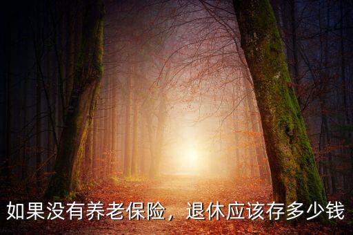 如果沒有養(yǎng)老保險，退休應(yīng)該存多少錢