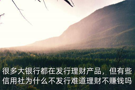 很多大銀行都在發(fā)行理財(cái)產(chǎn)品，但有些信用社為什么不發(fā)行難道理財(cái)不賺錢嗎