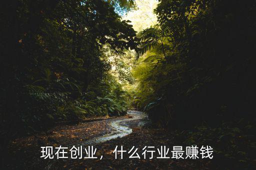 現(xiàn)在創(chuàng)業(yè)，什么行業(yè)最賺錢