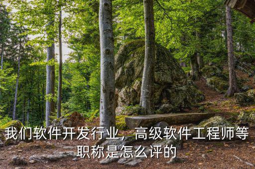 我們軟件開發(fā)行業(yè)，高級軟件工程師等職稱是怎么評的
