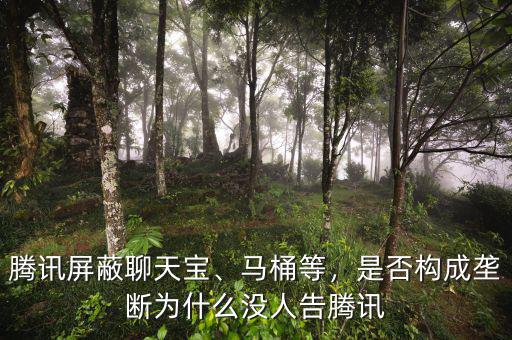 騰訊屏蔽聊天寶、馬桶等，是否構成壟斷為什么沒人告騰訊