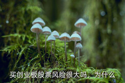 買創(chuàng)業(yè)板股票風險很大嗎，為什么
