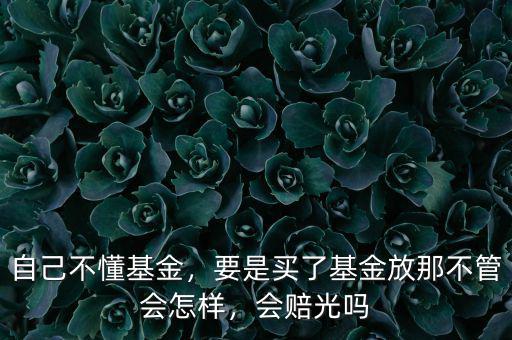 自己不懂基金，要是買了基金放那不管會怎樣，會賠光嗎