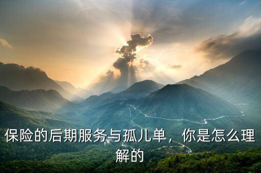保險(xiǎn)的后期服務(wù)與孤兒?jiǎn)?，你是怎么理解? class=