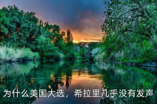 為什么美國大選，希拉里幾乎沒有發(fā)聲