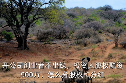開公司創(chuàng)業(yè)者不出錢，投資人股權(quán)融資900萬，怎么分股權(quán)和分紅