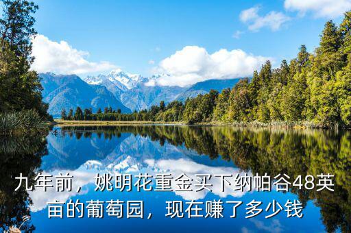 九年前，姚明花重金買下納帕谷48英畝的葡萄園，現(xiàn)在賺了多少錢