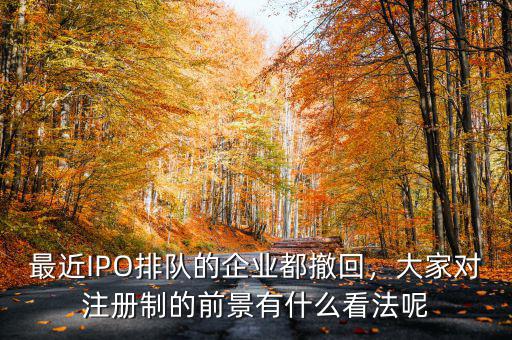 最近IPO排隊(duì)的企業(yè)都撤回，大家對(duì)注冊(cè)制的前景有什么看法呢