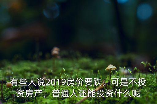 有些人說(shuō)2019房?jī)r(jià)要跌，可是不投資房產(chǎn)，普通人還能投資什么呢