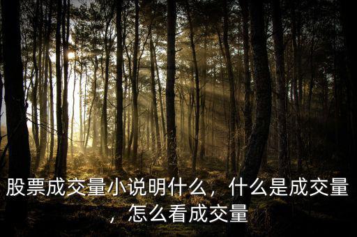 股票成交量小說明什么，什么是成交量，怎么看成交量