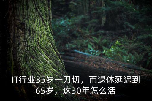 IT行業(yè)35歲一刀切，而退休延遲到65歲，這30年怎么活